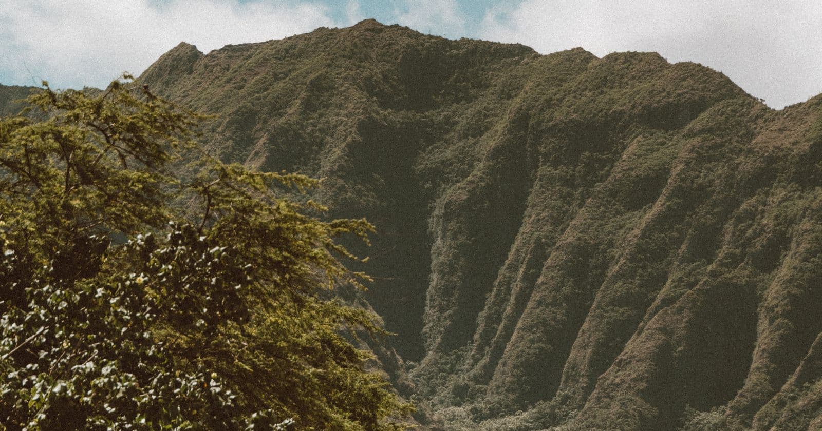 Lush green mountain landscape